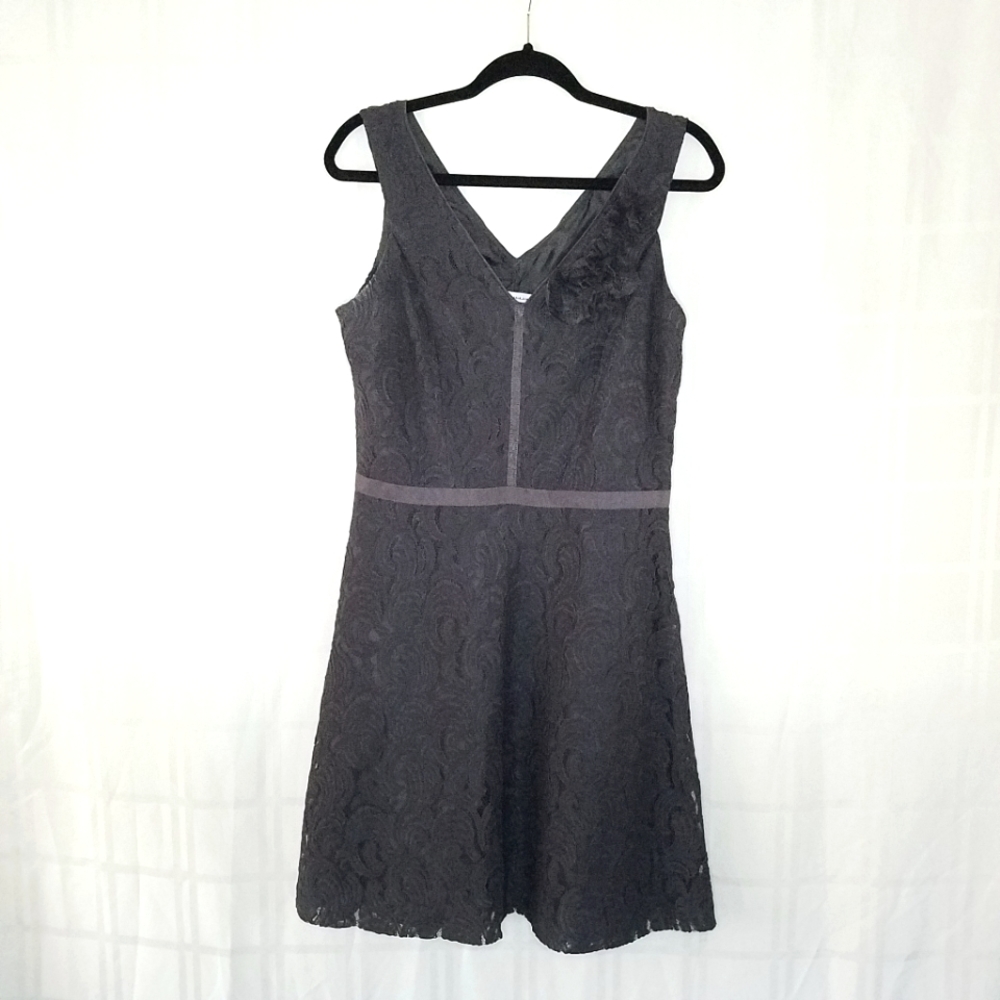 seamline  cynthia steffe Lace Dress